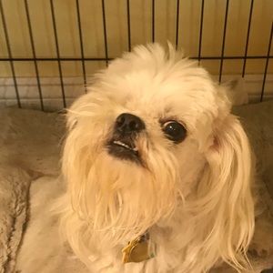 Meet your Posher, Joyce